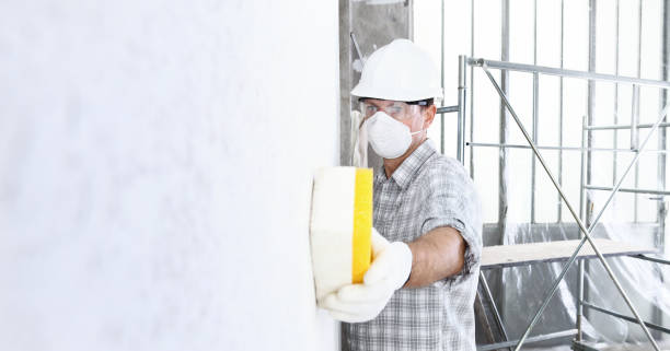 Why You Should Choose Our Mold Remediation Services in University Heights, OH