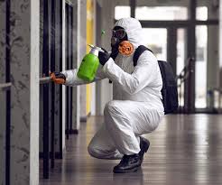 Best Black Mold Removal in University Heights, OH